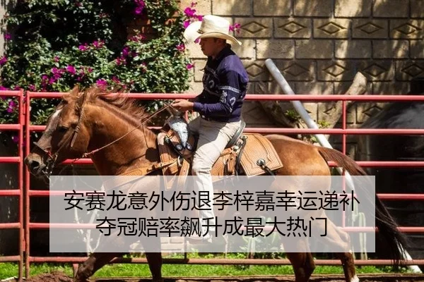 an-sai-long-yi-wai-shang-tui-li-zi-jia-xing-yun-di-bu-duo-guan-pei-lv-biao-sheng-cheng-zui-da-re-men-2-712.jpg