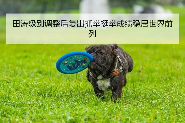 田涛级别调整后复出抓举挺举成绩稳居世界前列